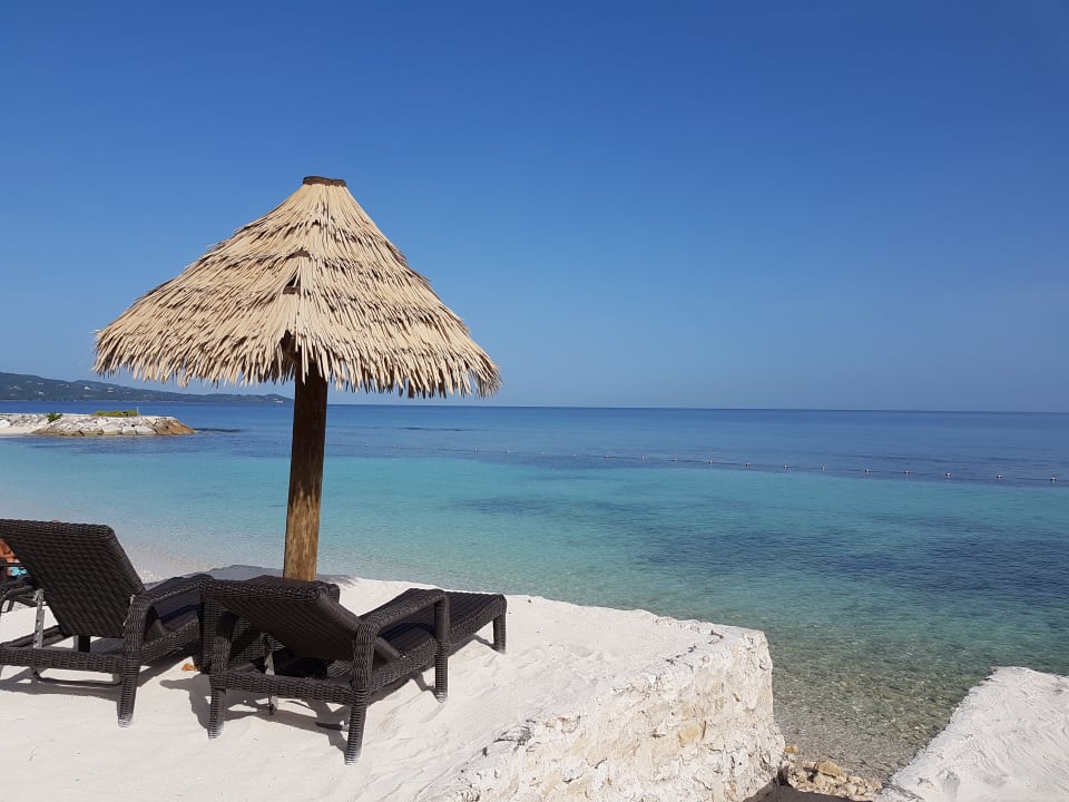 Strand Secrets Wild Orchid Montego Bay - Adults only