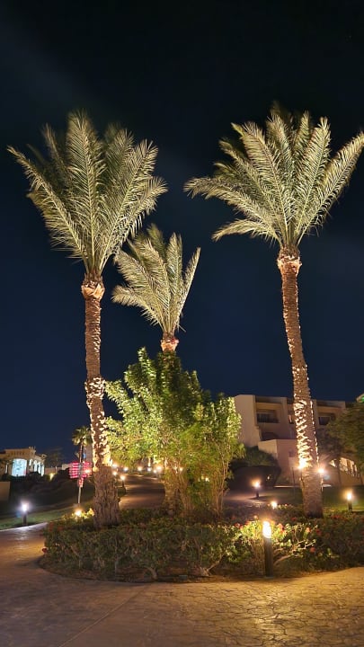 Gartenanlage Cleopatra Luxury Resort Makadi Bay