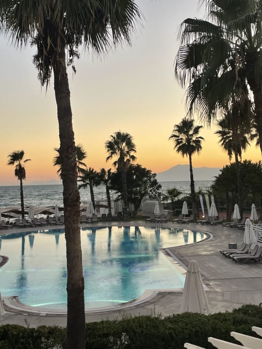 Pool Papillon Belvil