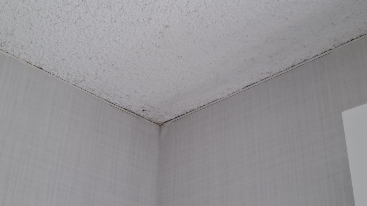 Zimmer Hotel Riu Plaza Fisherman’s Wharf