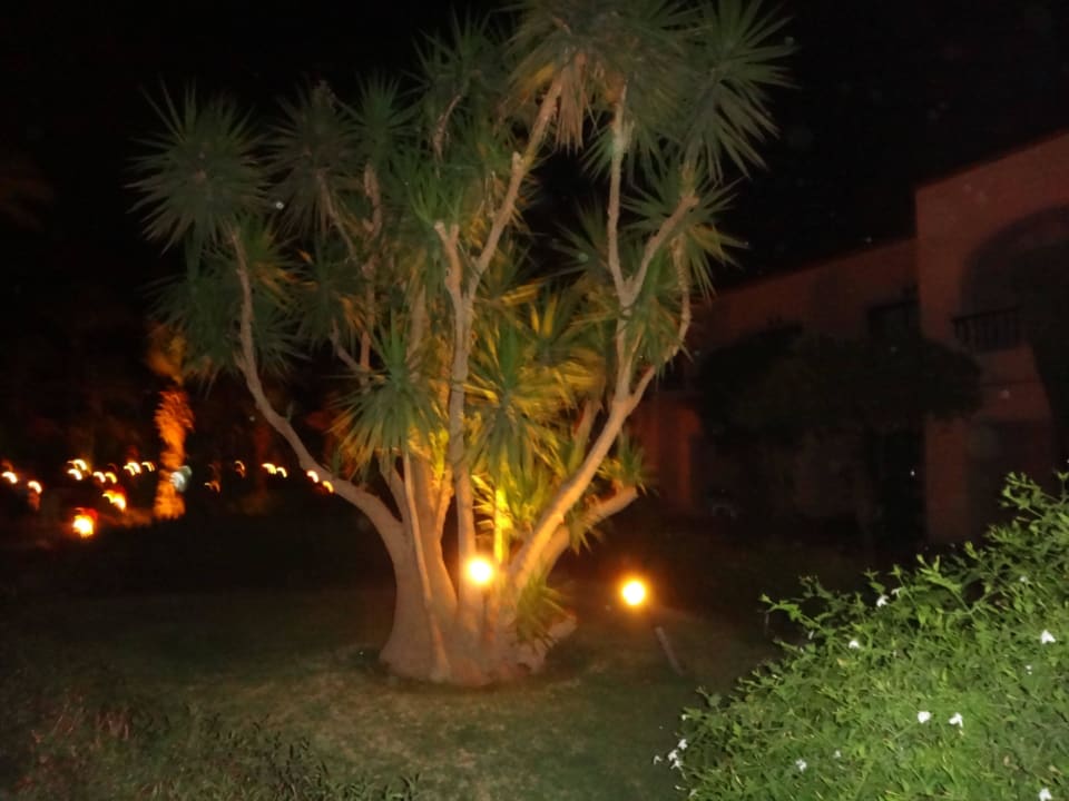 Египетские ночи Ali Baba Palace Hotel