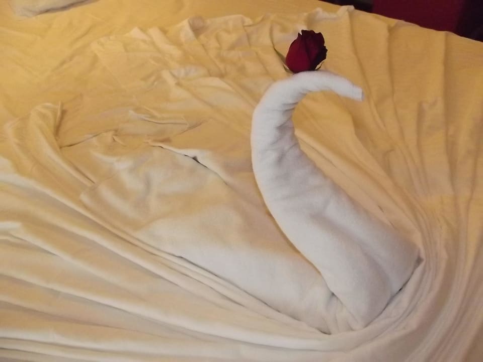 3315 Akka Alinda Hotel