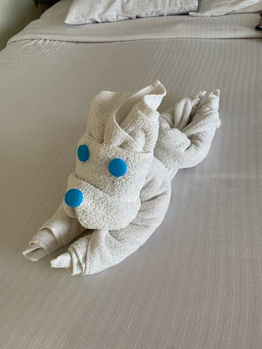 Zimmer Three Corners Sea Beach Resort