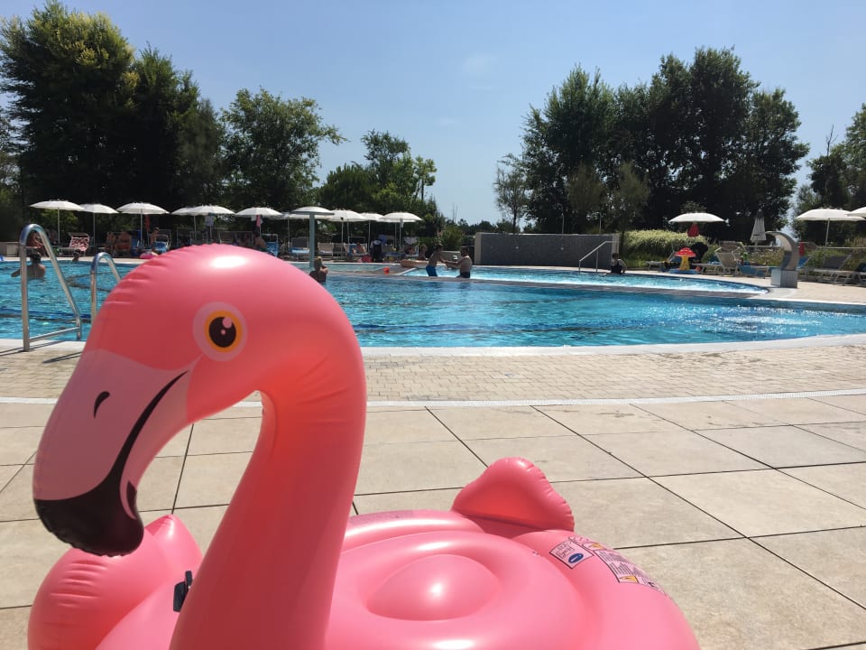 Pool Laguna Park Hotel