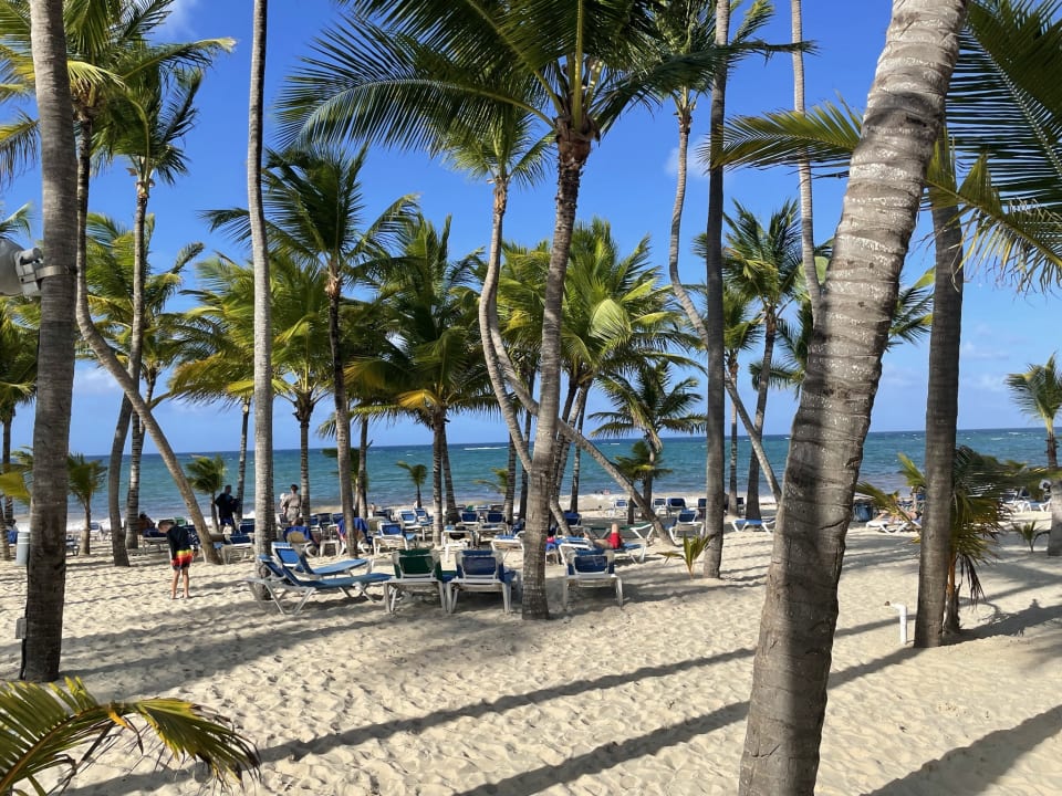 Strand Hotel Riu Palace Punta Cana