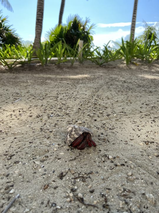 Sonstiges Akumal Bay Beach & Wellness Resort