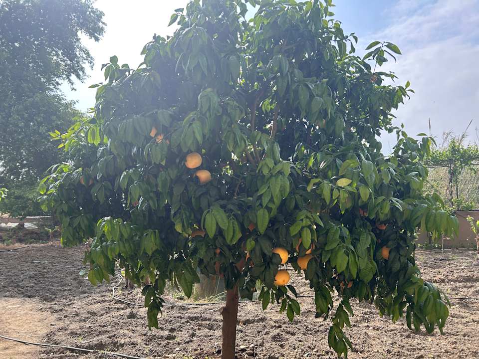 Ausblick Haydarpasha Palace