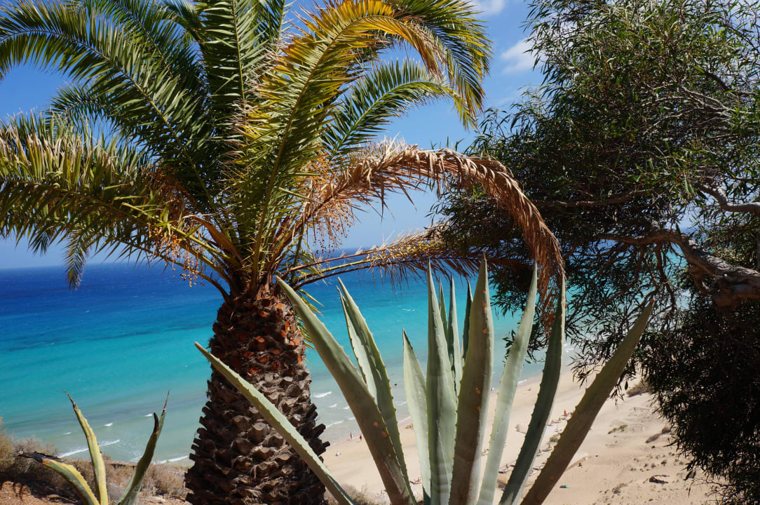 Wunderschöner Ausblick ROBINSON ESQUINZO PLAYA