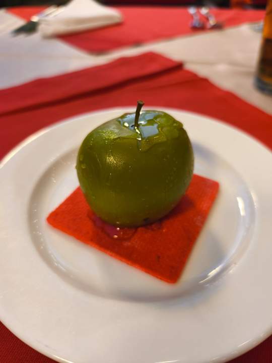 Gastro Seashell Vega