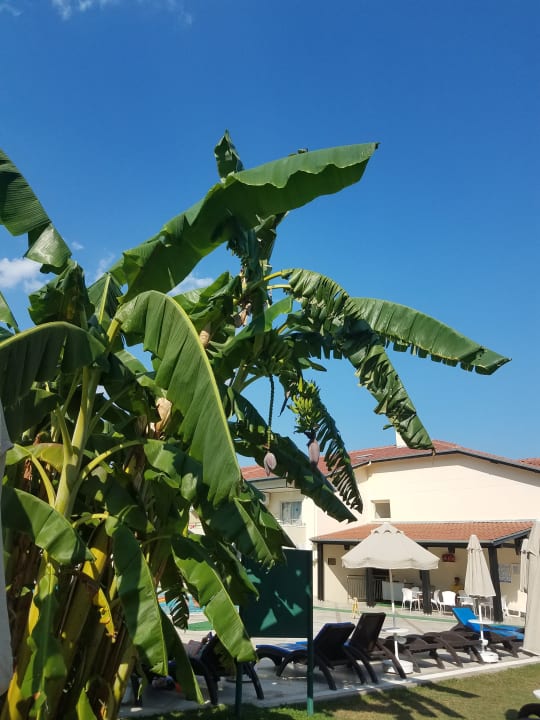 Gartenanlage Melas Holiday Village