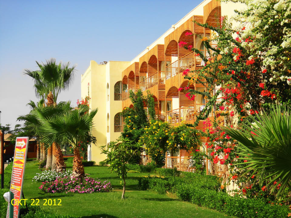 Пейзаж Desert Rose