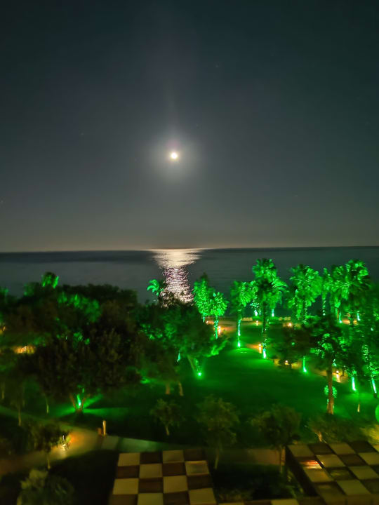 Ausblick TUI MAGIC LIFE Beldibi +16