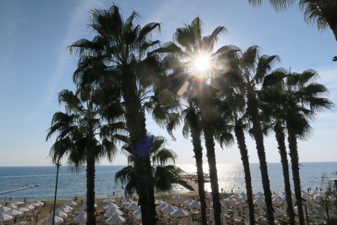 Strand Arum Barut Collection