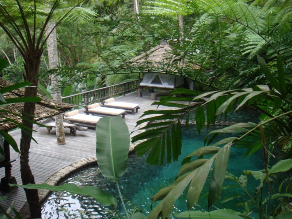 Quellenpool COMO Shambhala Estate