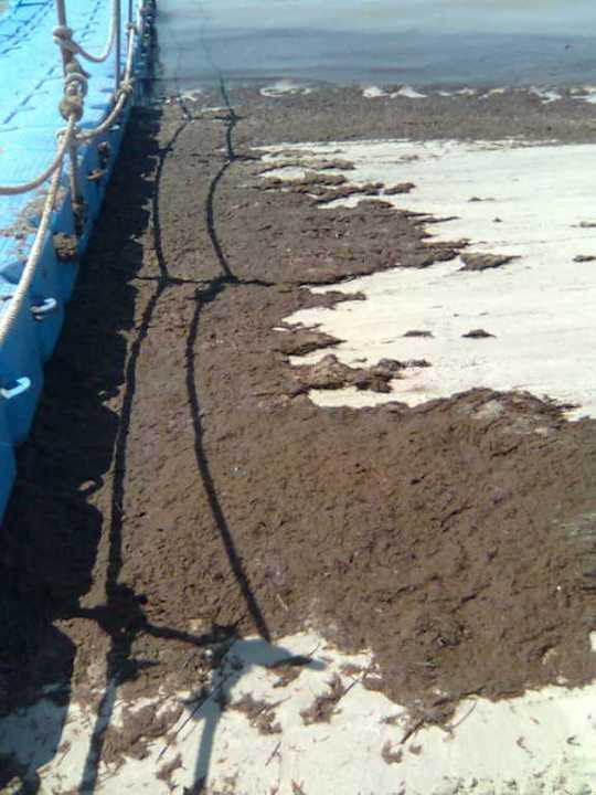 Algen, Dreck und Gestank Hotel Bravo Djerba