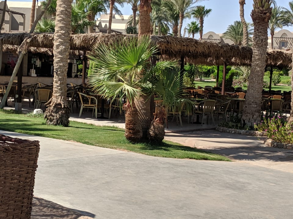 Garten Jaz Makadi Oasis Resort