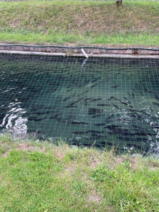 Gartenanlage Hotel Zur Alten Mühle