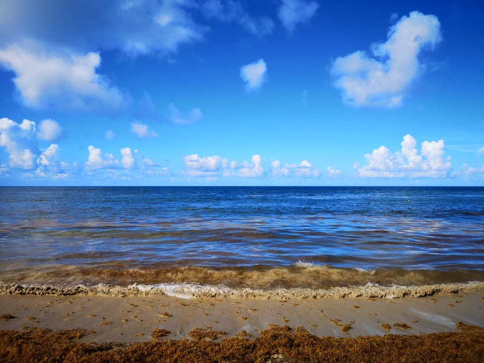 Strand Wyndham Alltra Punta Cana