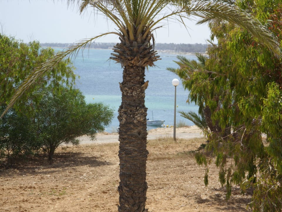 Bungalow Hotel El Mouradi Djerba Menzel