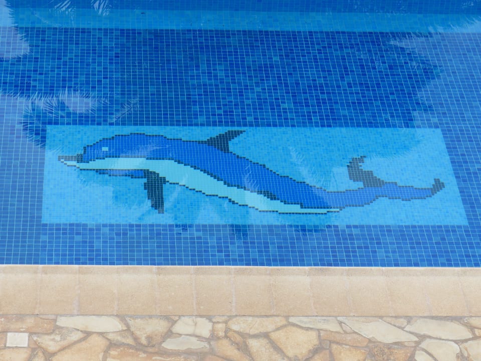 Pool Residencial Rolando