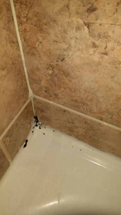 Zimmer Hotel Royal Costa