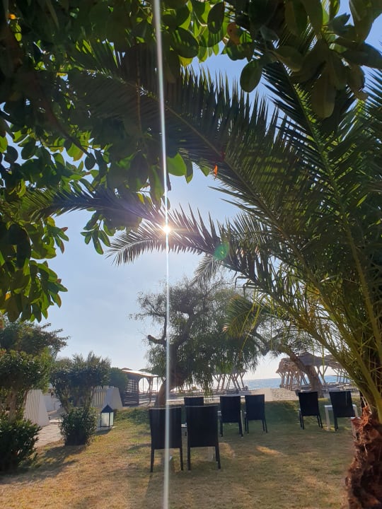 Gartenanlage The Orangers Beach Resort and Bungalows