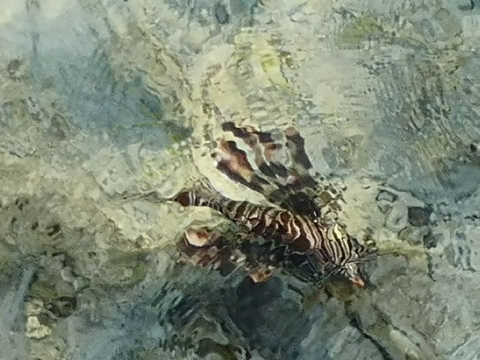 Strand Casa Mare Resort