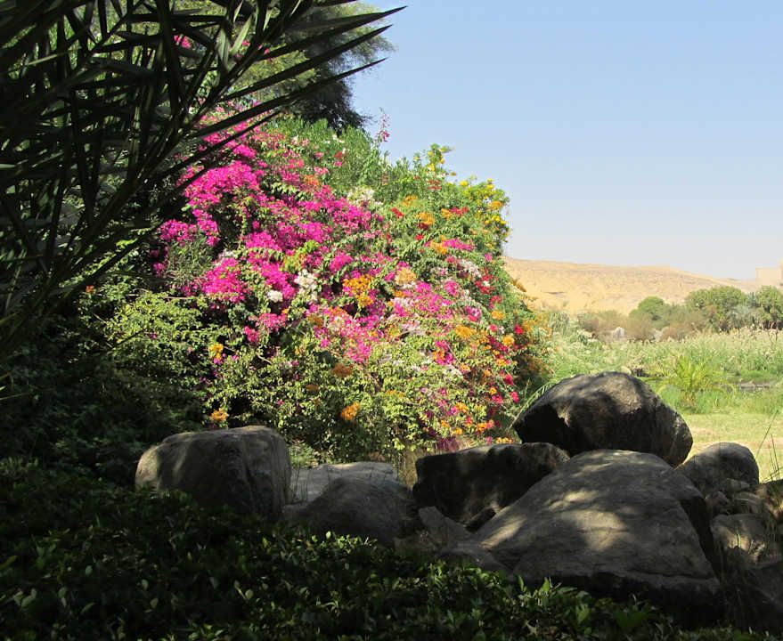Gartenanlage Pyramisa Island Hotel Aswan