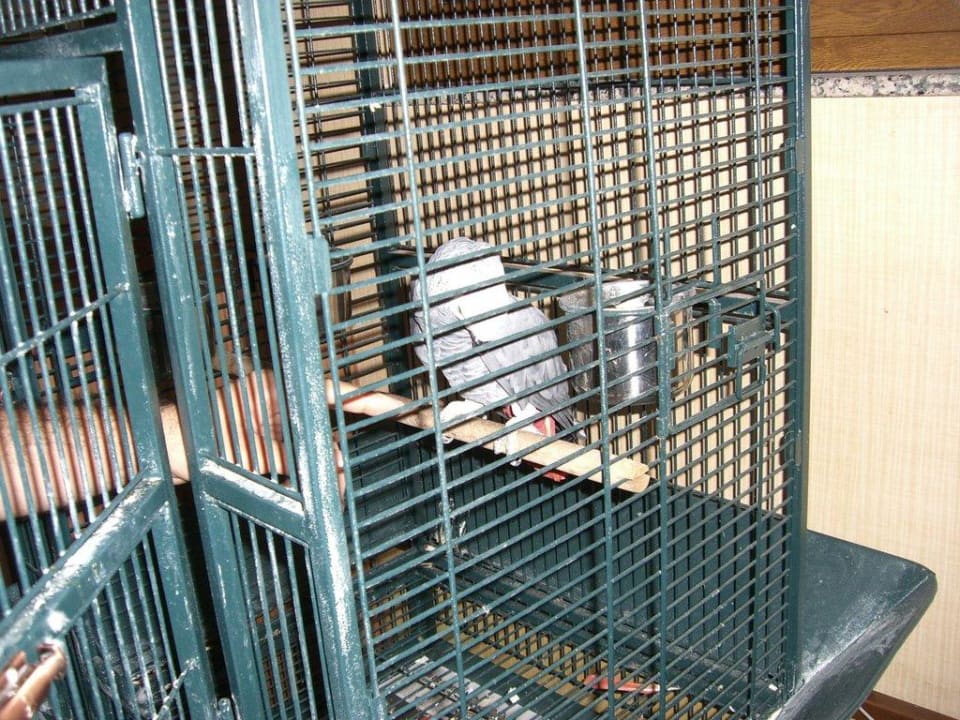 Hotel " Chef "  Jacub Hane Family Resort