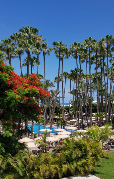 Gartenanlage Hotel Riu Palace Oasis