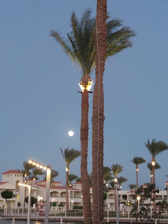 Pool Pickalbatros Dana Beach Resort - Hurghada
