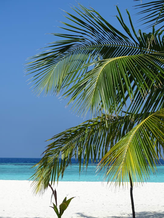 Strand Thulhagiri Island Resort