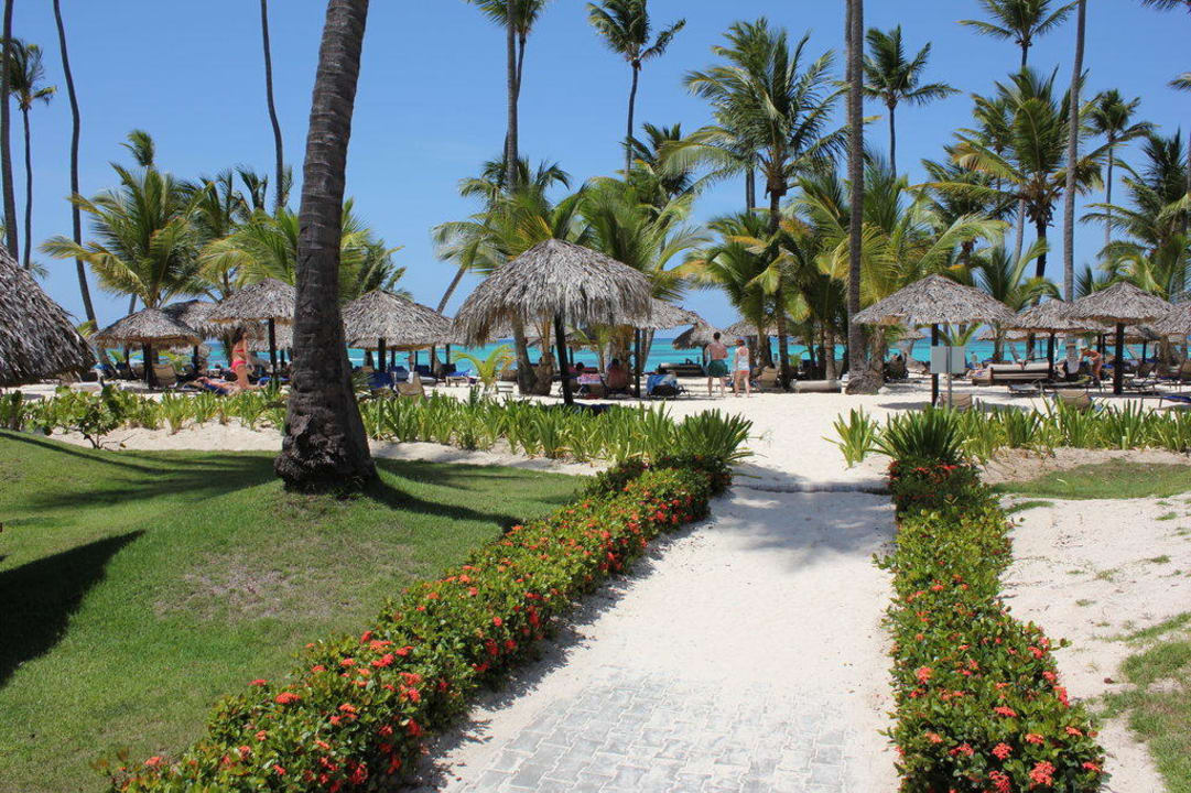 Blick vom Pool zum Strand TRS Turquesa Hotel - Adults only