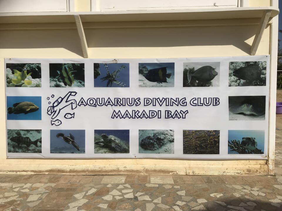 Sport & Freizeit Grand Waterworld Makadi & Family Star Makadi