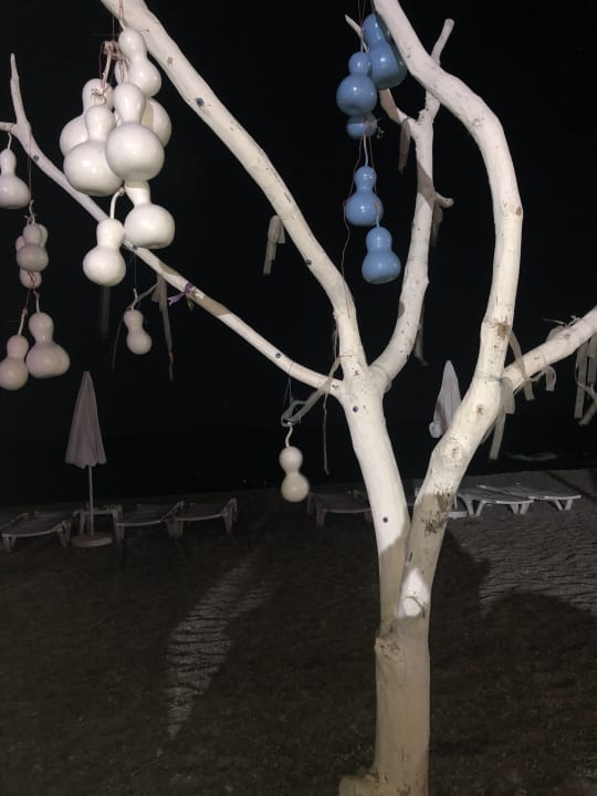 Gastro Labranda Alantur Resort