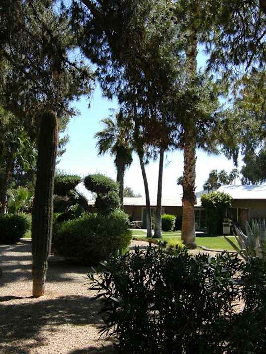 Blick vom Pool zu den Bungalows Hotel Smoke Tree Resort and Bungalows