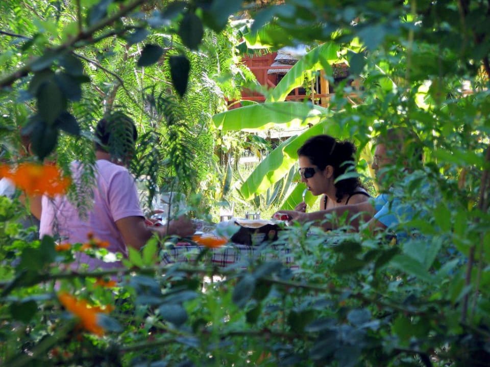 Garden HavaSu Park Bungalow