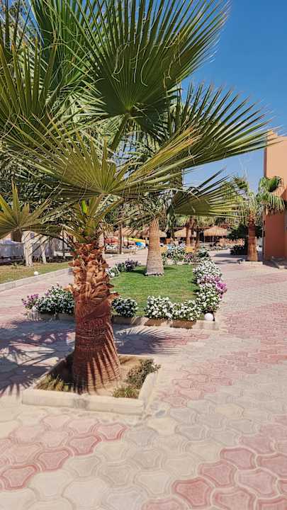 Außenansicht Three Corners Sea Beach Resort