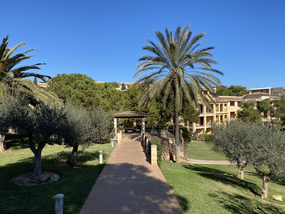 Gartenanlage ROBINSON CALA SERENA