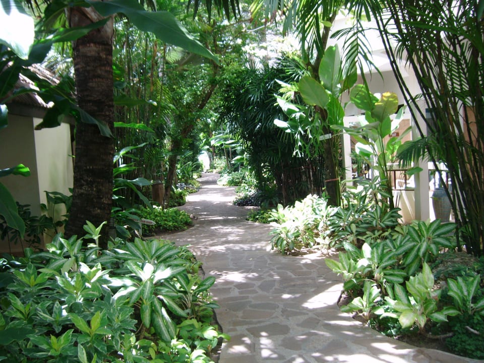 Auf dem Weg zum Strand Samui Natien Resort
