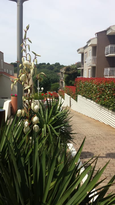 Gartenanlage Park Plaza Verudela Pula