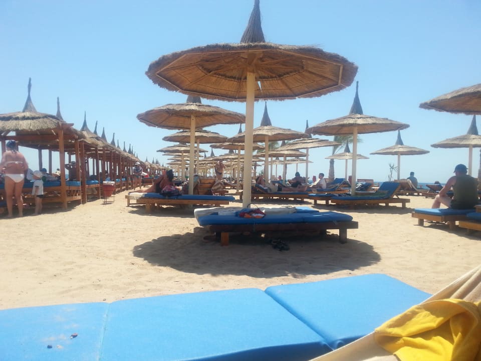 Die vielen Liegen Pickalbatros Aqua Park Resort - Hurghada