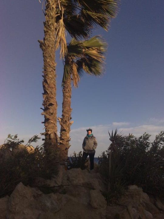 Kalter Wind Pickalbatros Citadel Resort