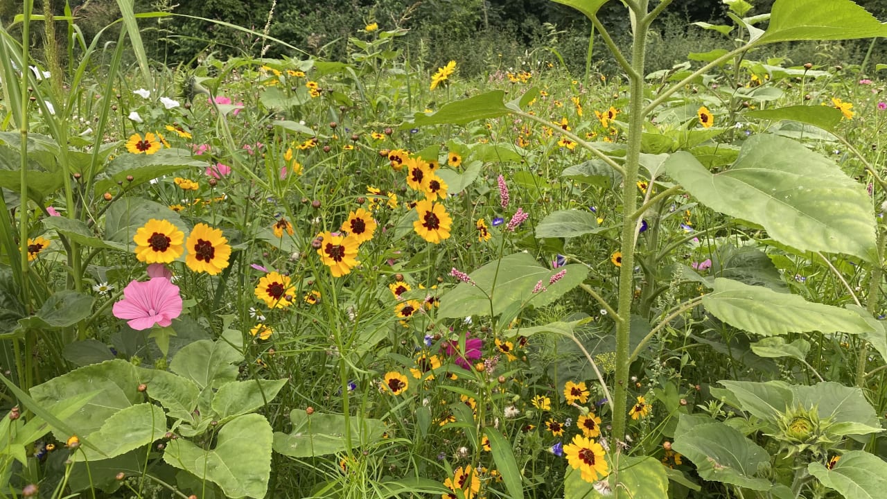 Gartenanlage Hotel Rittergut Störmede