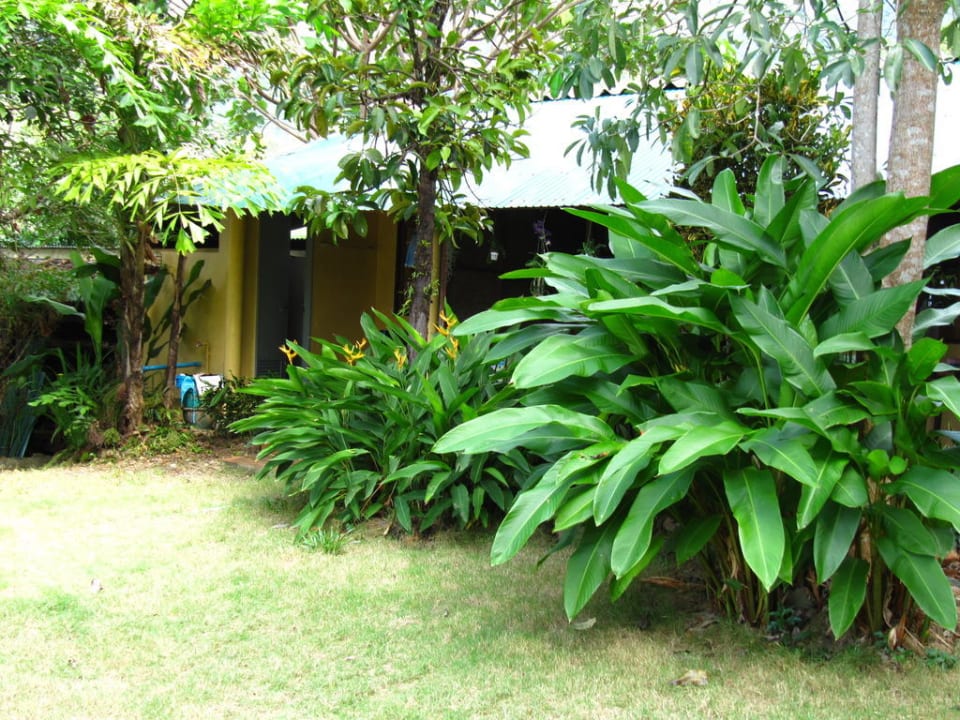 Bungalows Rock Inn Bailan