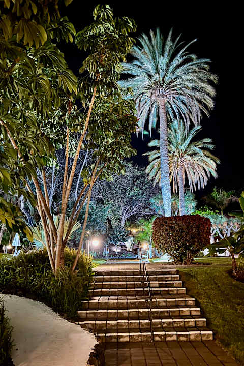 Gartenanlage TRH Taoro Garden