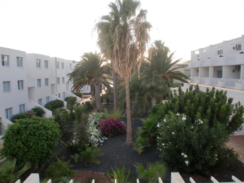 Ausblick vom Balkon Studio 2 Personen Sentido Aequora Lanzarote Suite