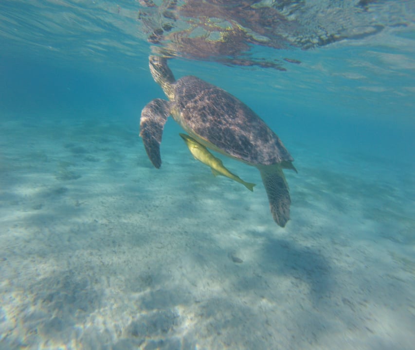 Sport & Freizeit  Shams Safaga Resort