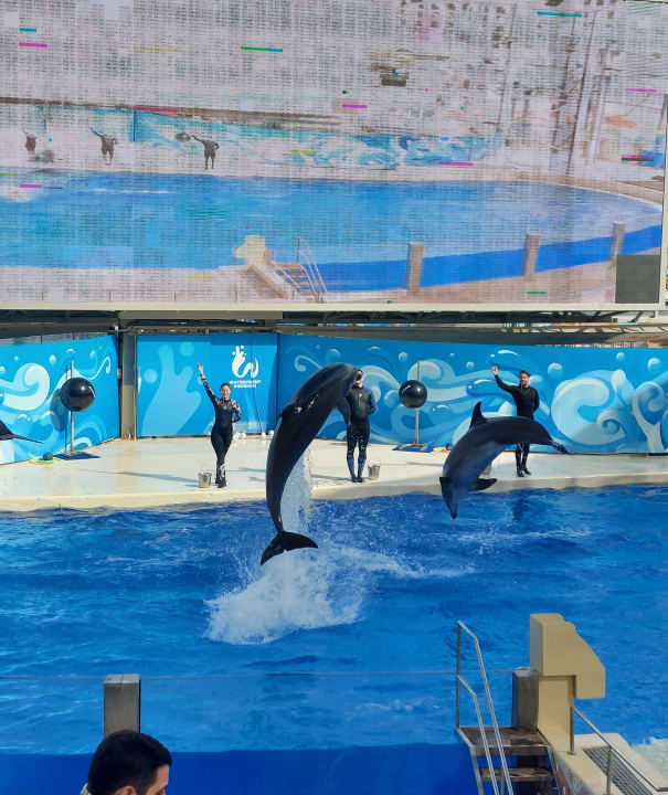 Sport & Freizeit The Land of Legends Kingdom Hotel