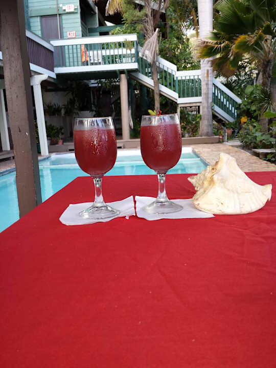 Homemade Sangria Hotel Estancia La Jamaca Inc